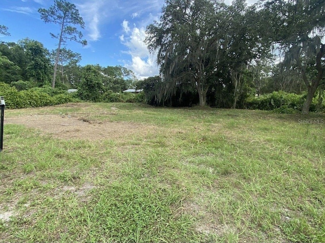 33128 Forest Ridge Rd, Deland, FL 32720 - photo 6