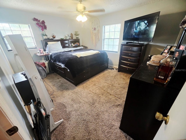 33 Banyan Pass, Ocala, FL 34472 - photo 34