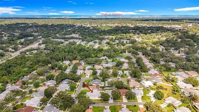 3253 Latana Dr, Palm Harbor, FL 34684 - photo 41