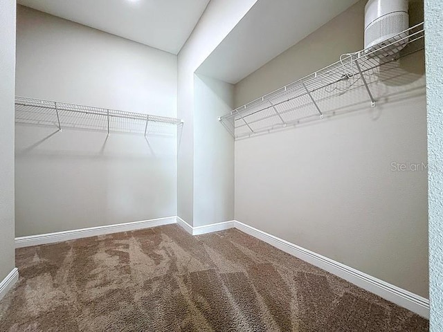 2049 Darlington Oak Dr, Seffner, FL 33584 - walk in closet with carpet floors