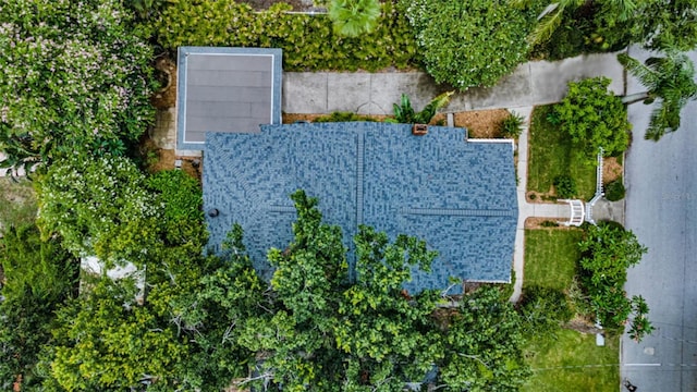 3115 W Hawthorne Rd, Tampa, FL 33611 - photo 3