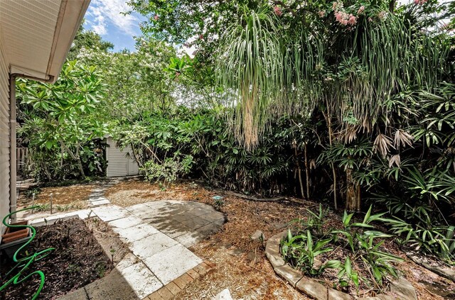 3115 W Hawthorne Rd, Tampa, FL 33611 - photo 24