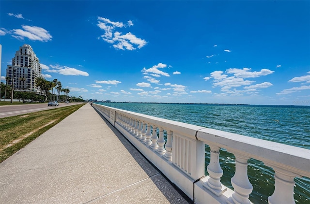 3115 W Hawthorne Rd, Tampa, FL 33611 - photo 55