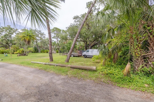 4942 Camellia Way S, Saint Petersburg, FL 33705 - photo 11