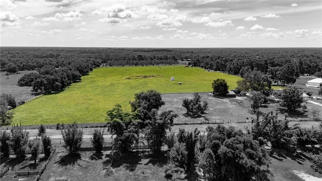 39797 River Rd, Dade City, FL 33525 - photo 3