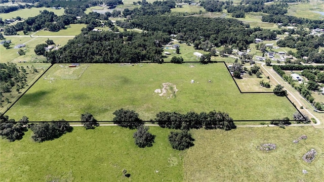 39797 River Rd, Dade City, FL 33525 - photo 9