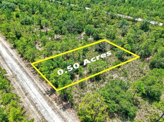 1109 Gallardia Dr, Indian Lake Estates, FL 33855 - photo 2