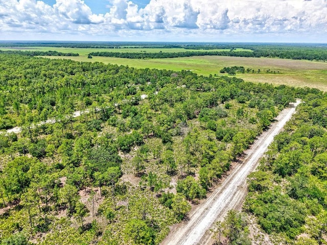 1109 Gallardia Dr, Indian Lake Estates, FL 33855 - photo 4