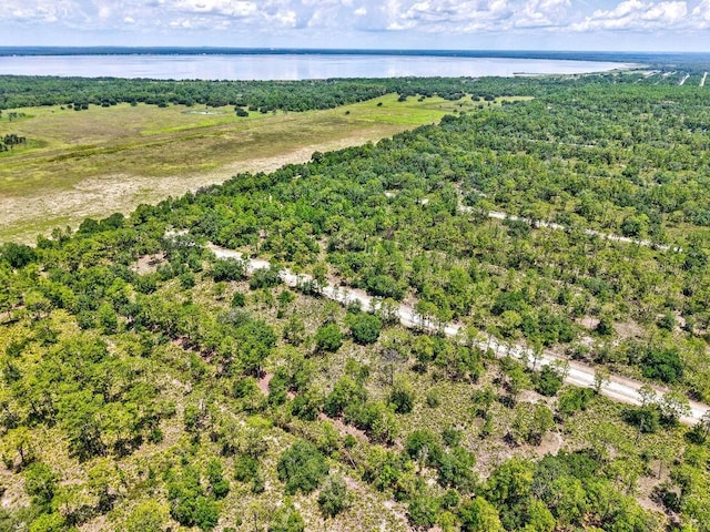 1109 Gallardia Dr, Indian Lake Estates, FL 33855 - photo 6