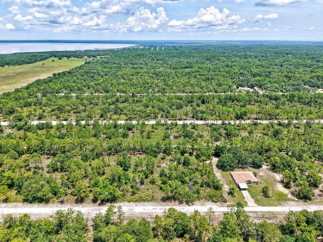 1109 Gallardia Dr, Indian Lake Estates, FL 33855 - photo 9