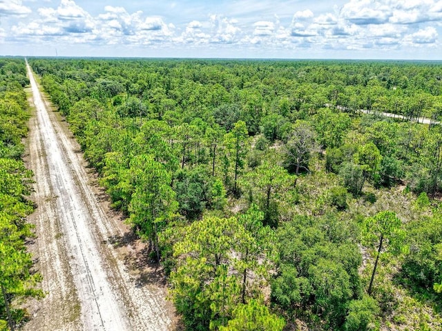 1109 Gallardia Dr, Indian Lake Estates, FL 33855 - photo 12