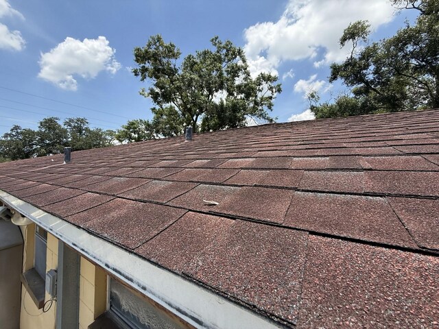 8609 Fish Lake Rd, Tampa, FL 33619 - photo 52