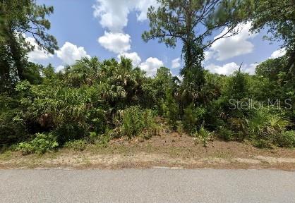 Nymph Ave, North Port, FL 34288 - photo 2