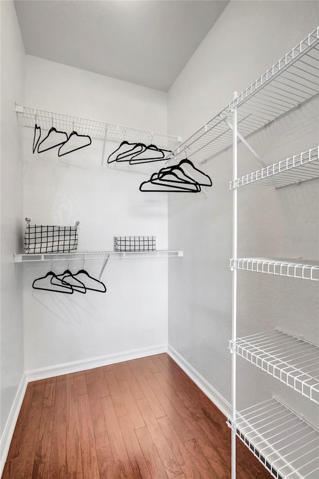 5000 Culbreath Key Way Unit 8-106, Tampa, FL 33611 - walk in closet featuring hardwood / wood-style flooring