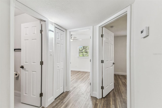 8703 Driftwood Dr, Tampa, FL 33615 - photo 43