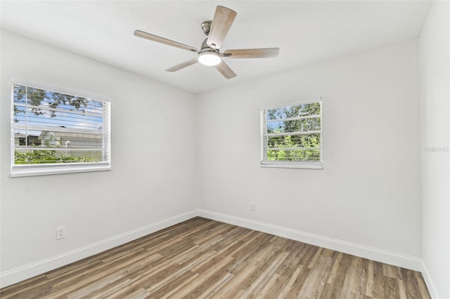 8703 Driftwood Dr, Tampa, FL 33615 - photo 46