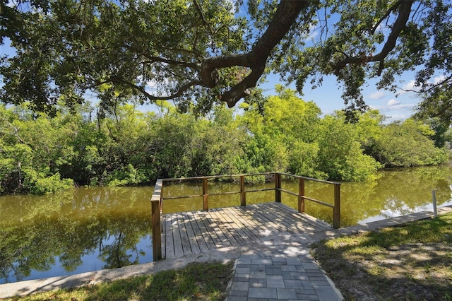 8703 Driftwood Dr, Tampa, FL 33615 - photo 52