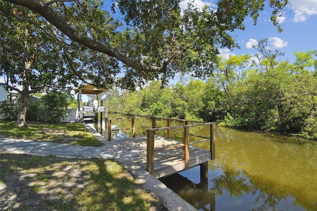 8703 Driftwood Dr, Tampa, FL 33615 - photo 53