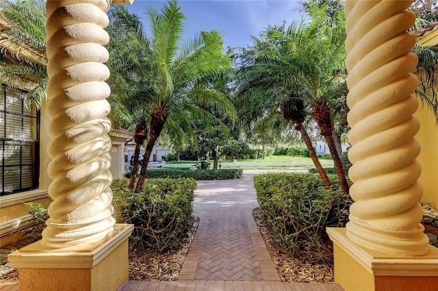 10504 Sabella Dr, Trinity, FL 34655 - view of community