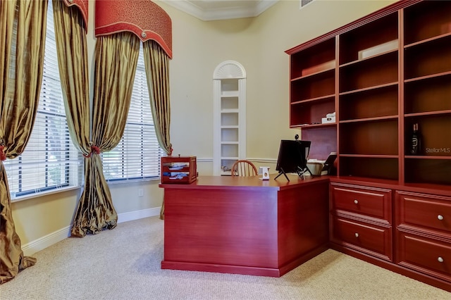 10504 Sabella Dr, Trinity, FL 34655 - office space featuring light colored carpet and ornamental molding
