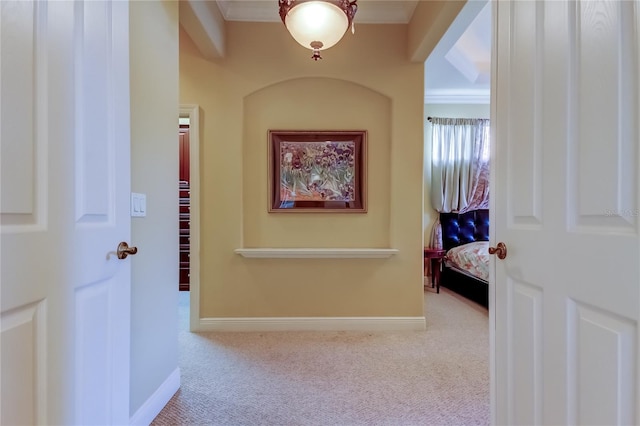 10504 Sabella Dr, Trinity, FL 34655 - corridor featuring carpet flooring