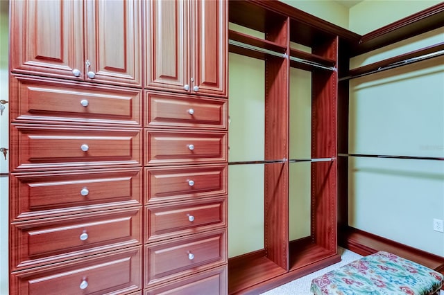 10504 Sabella Dr, Trinity, FL 34655 - view of spacious closet