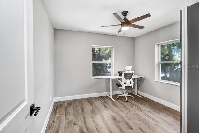 4018 S W Shore Blvd, Tampa, FL 33611 - photo 10