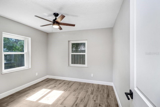 4018 S W Shore Blvd, Tampa, FL 33611 - photo 12