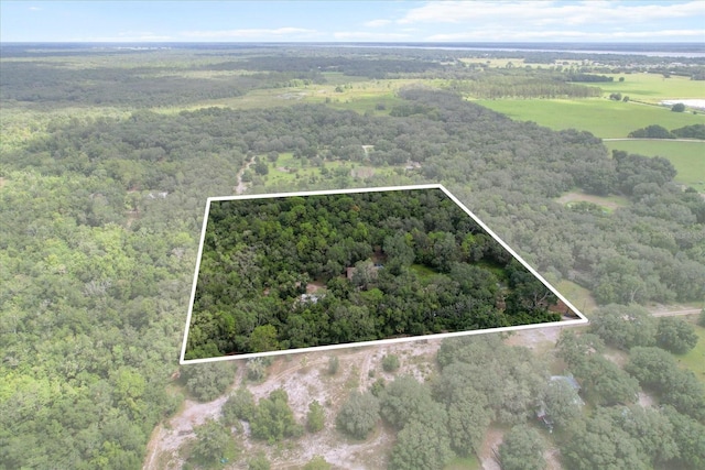 2426 W Sumter Ave, Lake Panasoffkee, FL 33538 - photo 2