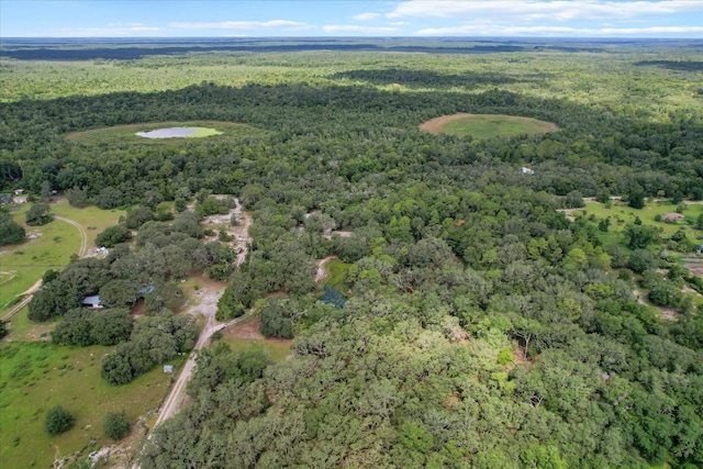 2426 W Sumter Ave, Lake Panasoffkee, FL 33538 - photo 45