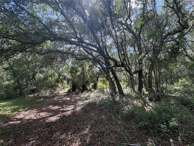2426 W Sumter Ave, Lake Panasoffkee, FL 33538 - photo 50