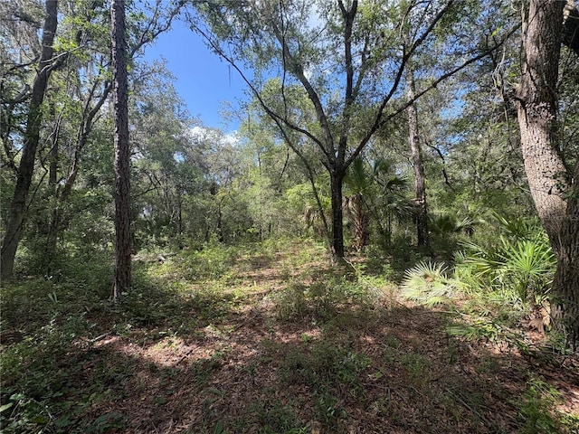 2426 W Sumter Ave, Lake Panasoffkee, FL 33538 - photo 51