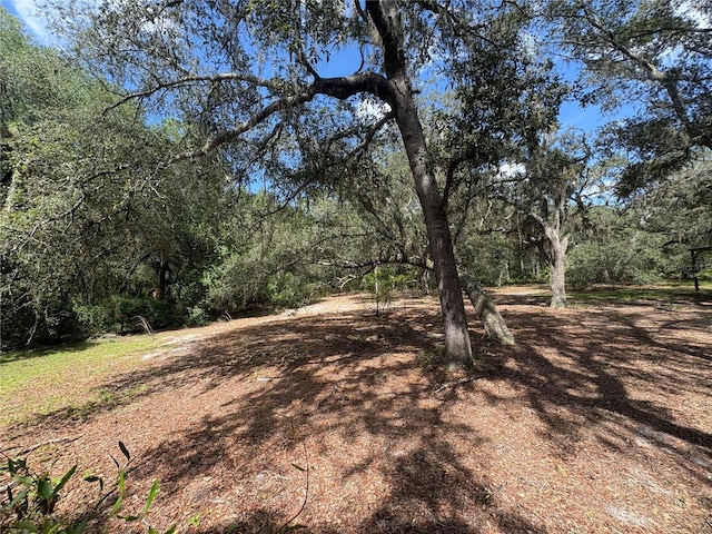 2426 W Sumter Ave, Lake Panasoffkee, FL 33538 - photo 53