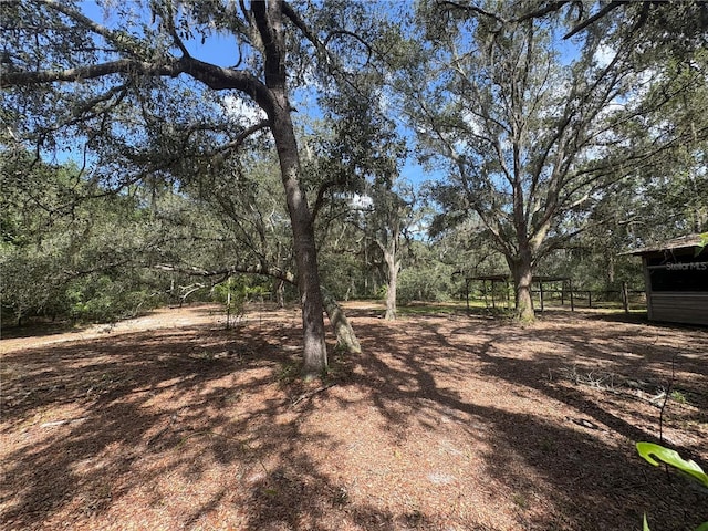 2426 W Sumter Ave, Lake Panasoffkee, FL 33538 - photo 55