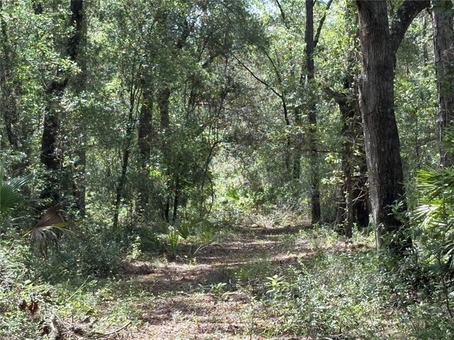 2426 W Sumter Ave, Lake Panasoffkee, FL 33538 - photo 59