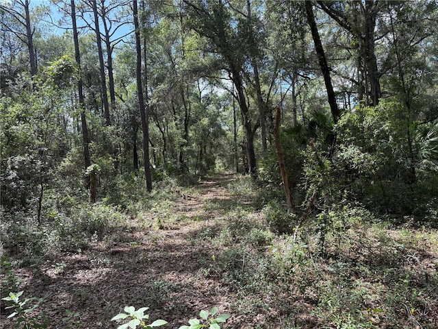 2426 W Sumter Ave, Lake Panasoffkee, FL 33538 - photo 60