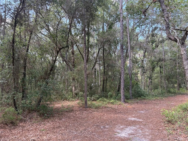 2426 W Sumter Ave, Lake Panasoffkee, FL 33538 - photo 61