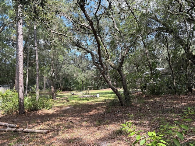 2426 W Sumter Ave, Lake Panasoffkee, FL 33538 - photo 63