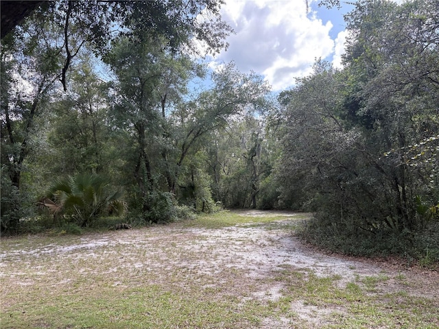2426 W Sumter Ave, Lake Panasoffkee, FL 33538 - photo 64