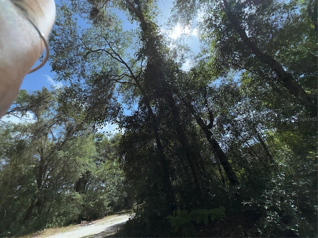 2426 W Sumter Ave, Lake Panasoffkee, FL 33538 - photo 65