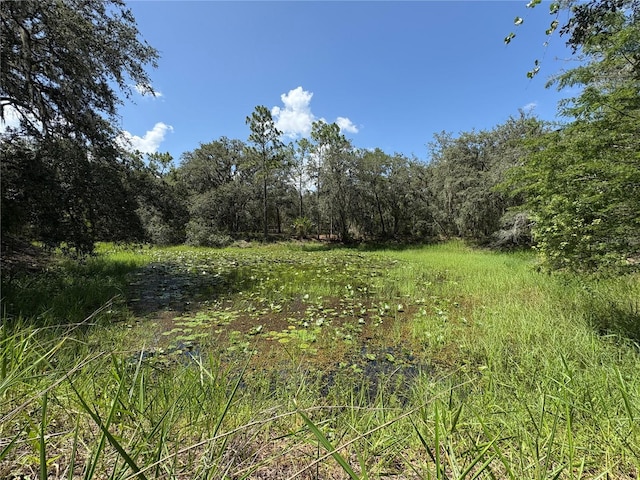 2426 W Sumter Ave, Lake Panasoffkee, FL 33538 - photo 68