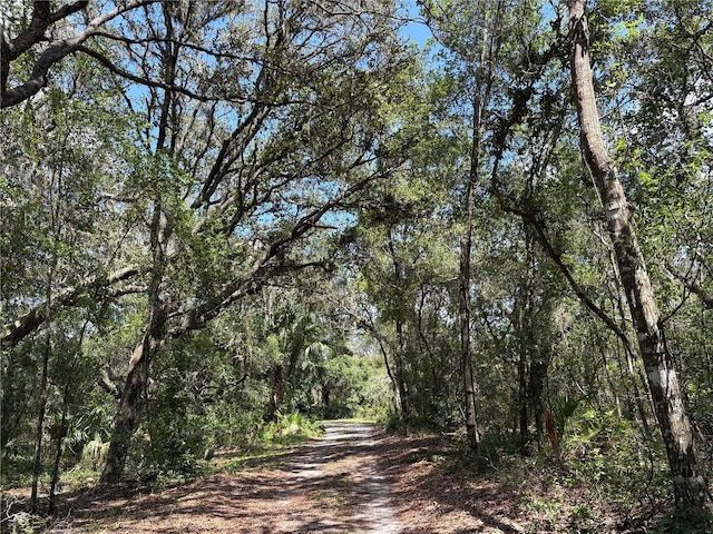 2426 W Sumter Ave, Lake Panasoffkee, FL 33538 - photo 71