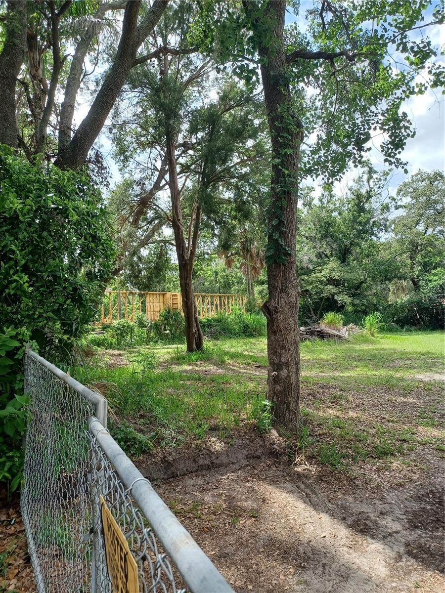 1802 E Fairbanks St, Tampa, FL 33604 - photo 3