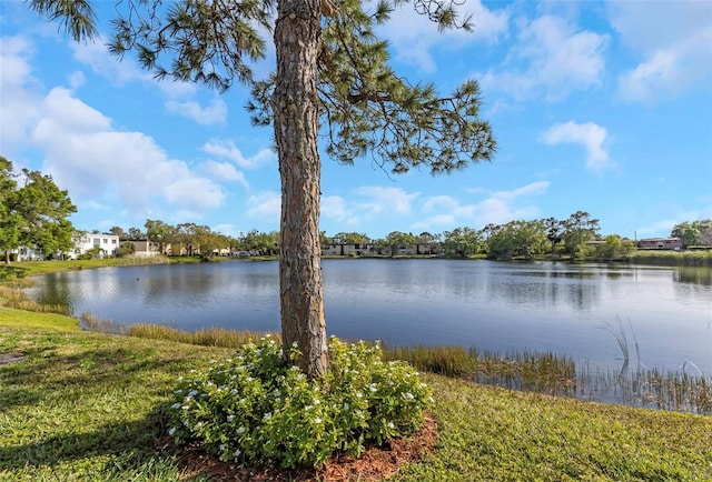 803 N Keene Rd Unit X5, Clearwater, FL 33755 - photo 3