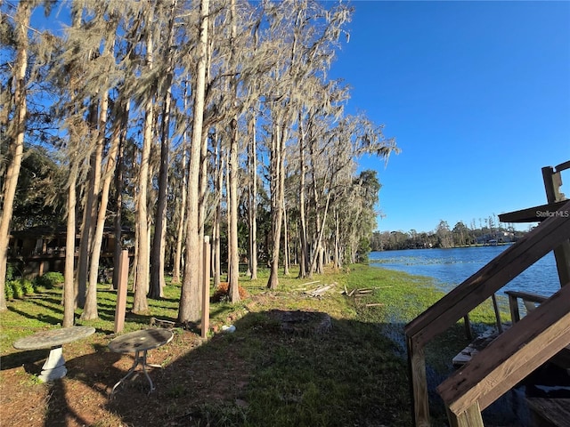 18886 Crescent Rd, Odessa, FL 33556 - photo 3