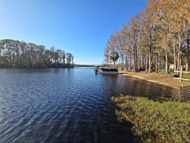 18886 Crescent Rd, Odessa, FL 33556 - photo 4