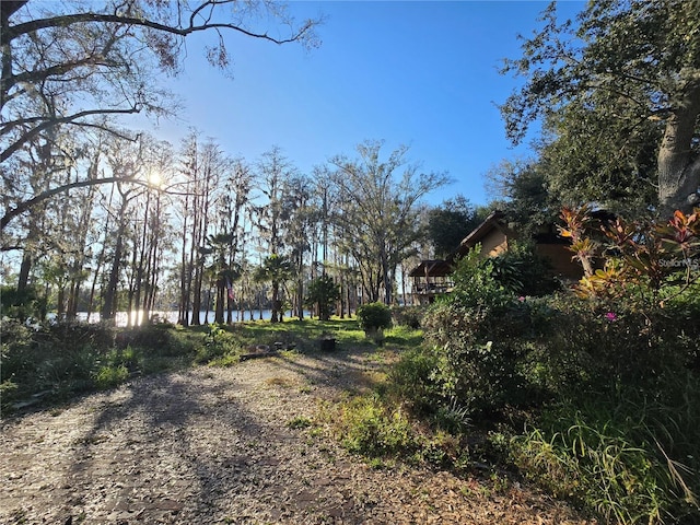 18886 Crescent Rd, Odessa, FL 33556 - photo 7