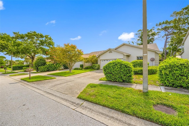 3005 Pepperwood Ln W, Clearwater, FL 33761 - photo 31