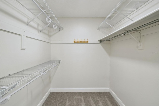 2004 Varner Cir, Winter Haven, FL 33884 - walk in closet with carpet