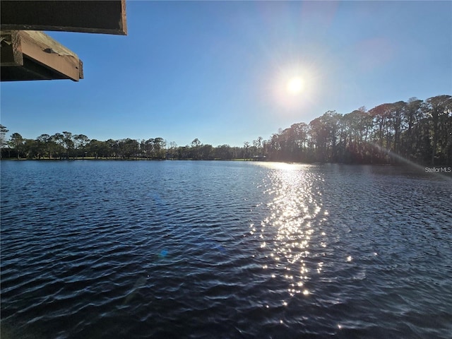 18880 Crescent Rd, Odessa, FL 33556 - photo 4